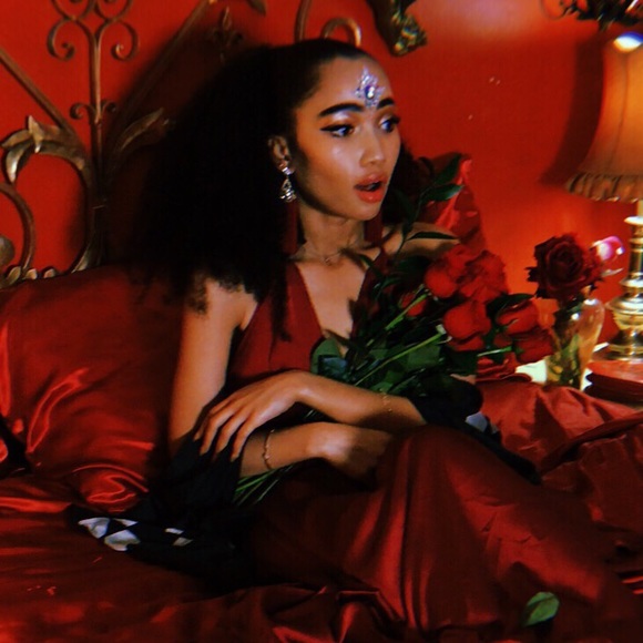 MEET YOUR POSHER! 💕 - Picture 4 of 4